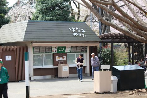 The "Hanako Cafe" dedicated to their long-admired elephant.