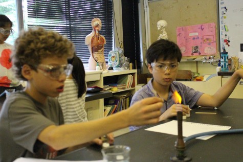 What a weird fire...Lou (left) and Noah (right) experimenting chemicals using a Bunsen burner.
