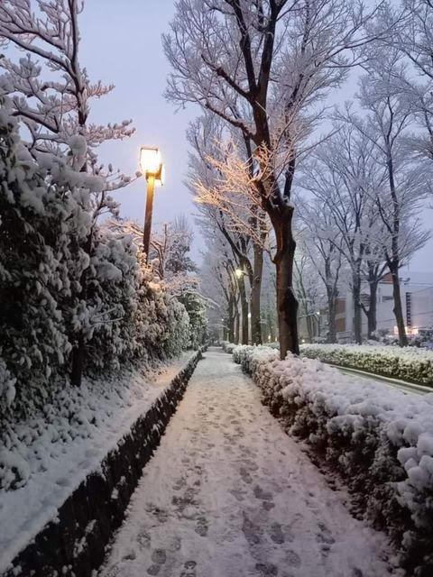 Snow pathway in Hiro-o
