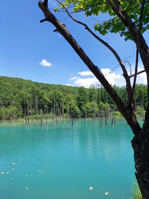 Aoi Pond in Hokkaido