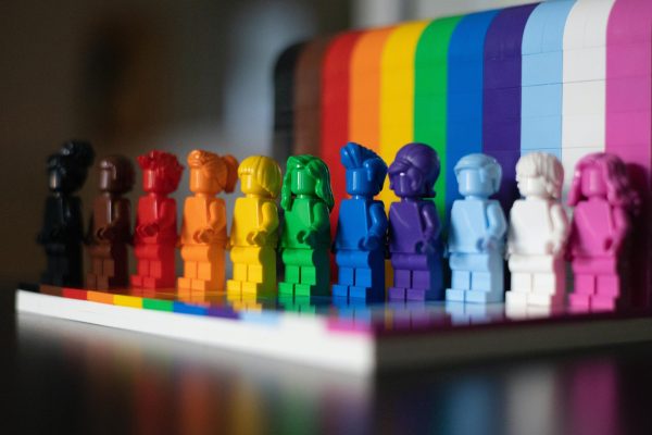 Media lacked multi-dimensional queer characters, representing to ‘check diversity boxes’

Photo by James A. Molnar on Unsplash