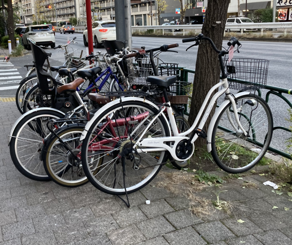 There are a large variety of different types of bicycles used by over 100 million cyclists in Japan. 
